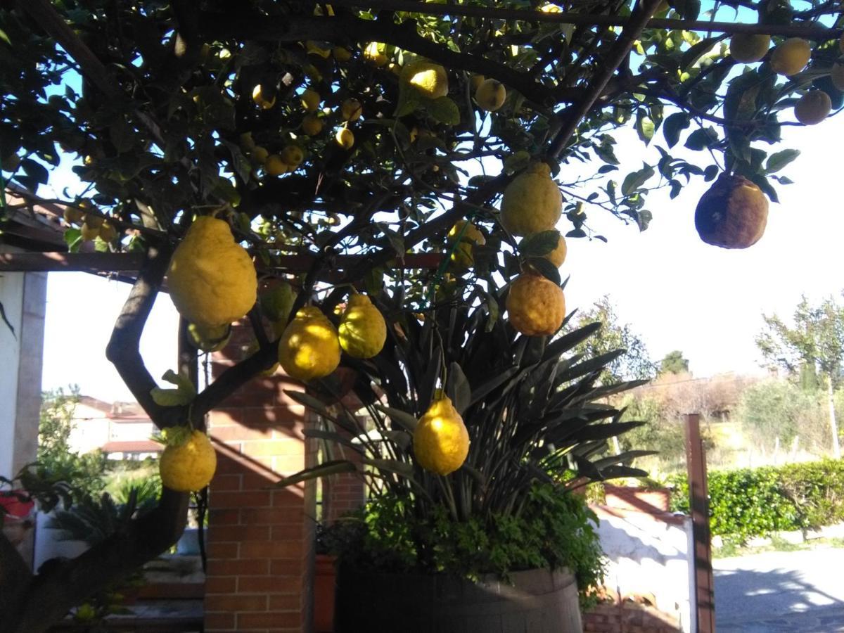 B&B La Porta Del Cilento Capaccio Eksteriør billede